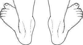 PedFlat02.jpg PedFlat02.jpg